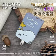 【正版授權】SNOOPY史努比 GaN氮化鎵 PD 47W充電器 經典復刻色系 鳳梨酥系列 大頭