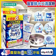 日本KAO花王-浴室排水口用免刷洗去汙消臭強力發泡清潔粉40gx6入/盒 (大容量浴廁水孔洗淨劑,衛浴地漏除黑霉皂垢潔淨粉,靜置清潔淋浴間水蓋)