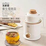 大家源 陶瓷養生電燉盅 TCY-293001