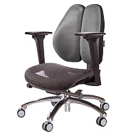 GXG 大網座 低雙背工學椅(鋁腳/3D升降扶手) TW-3075 LU9