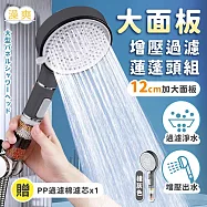 澡爽大面板增壓過濾蓮蓬頭組 四色過濾球x1 附濾心x1 蓮蓬頭 增壓蓮蓬頭 過濾蓮蓬頭 槍灰色