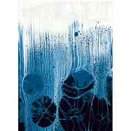 【玲廊滿藝】趙書巧-深海之舞33x24cm