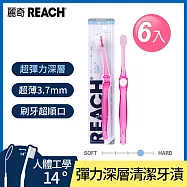 REACH麗奇 麗奇齒科專家14&deg;牙刷X6入組(深層清潔牙刷(纖柔硬毛))