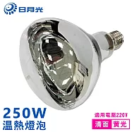 【日月光】2入組 溫熱燈泡 清面(保溫燈泡 取暖燈泡220V E27 250W)