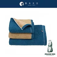 【Prairie Dog】DAIRY PRAIRIE 今治純棉翻轉色彩雙股紗毛巾 (軍藍棕) | 鈴木太太公司貨