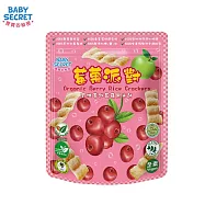 【BABY SECRET 寶寶的秘密】有機米餅袋裝(12M+) 蔓越莓蘋果