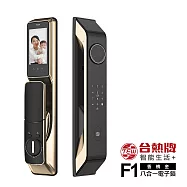 TEW 台熱牌 智能8合1推拉式電子鎖/門鎖(F1)(掌靜脈/人臉/指紋/密碼/卡片/鑰匙/APP遠端開門/雙向通話)(附基本安裝)
