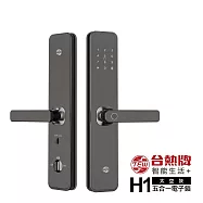 TEW 台熱牌 智能5合1把手式電子鎖/門鎖(H1)(指紋/密碼/卡片/鑰匙/APP遠端開門)(附基本安裝)