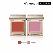 【Kanebo 佳麗寶】LUNASOL 晶巧霓光單色眼彩 1.2g# EX03C