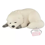 BANPRESTO Fluffy Puffy SPY&times;FAMILY間諜家家酒-彭德・佛傑 B趴姿