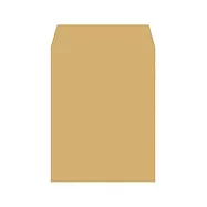 美加美 大9K中興牛皮公文封 100個 / 包 N1109