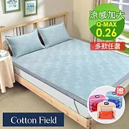 棉花田涼感紗冰絲床蓆-雙人加大(3款可選) 格紋