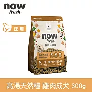 Now! 即期品(效期26.05.07) 中型成犬雞肉配方 300克(100克3包替代出貨) 高湯天然糧 | 乾濕兩吃 火雞高湯 中型犬 犬糧 狗糧 WDJ