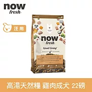 Now! 中型成犬雞肉配方 22磅 高湯天然糧 | 乾濕兩吃 火雞高湯 中型犬 犬糧 狗糧 WDJ