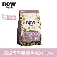 Now! 即期品(效期26.06.11) 中型成犬鮭魚配方 300克(100克3包替代出貨) 高湯天然糧 | 乾濕兩吃 火雞高湯 中型犬 犬糧 狗糧 WDJ