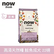 Now! 中型成犬鮭魚配方 22磅 高湯天然糧 | 乾濕兩吃 火雞高湯 中型犬 犬糧 狗糧 WDJ