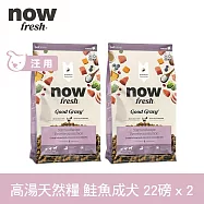 Now! 中型成犬鮭魚配方 22磅 兩件組 高湯天然糧 | 乾濕兩吃 火雞高湯 中型犬 犬糧 狗糧 WDJ