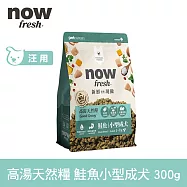 Now! 小型成犬鮭魚配方 300克(100克3包替代出貨) 高湯天然糧 | 乾濕兩吃 火雞高湯 小型犬 四葉草顆粒 犬糧 狗糧 WDJ