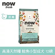 Now! 小型成犬鮭魚配方 12磅 高湯天然糧 | 乾濕兩吃 火雞高湯 小型犬 四葉草顆粒 犬糧 狗糧 WDJ