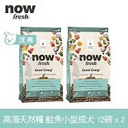 Now! 小型成犬鮭魚配方 12磅 兩件組 高湯天然糧 | 乾濕兩吃 火雞高湯 小型犬 四葉草顆粒 犬糧 狗糧 WDJ