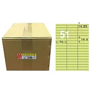 龍德 A4三用電腦標籤 16.9x70mm 淺綠色 1000入 / 箱 LD-829-G-B