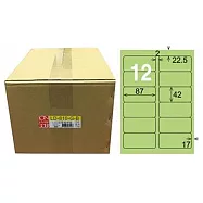 龍德 A4三用電腦標籤 42x87mm 淺綠色 1000入 / 箱 LD-810-G-B