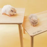 |勞叔步步高升平台|倉鼠 造景 平台 小寵防水平台 多功能防水平台 防水防刮 櫸木 白楊木平台 兔子 天竺鼠 刺蝟 躲避 步步高升平台20公分(平台+腿)