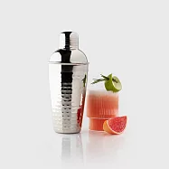 《Taylors Eye Witness》Taproom錘紋雪克杯(銀500ml) | 雞尾酒 搖酒杯 調酒器 調酒用具