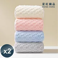 【星紅織品】輕柔雲朵格子瞬吸絲絨浴巾x2入 隨機多色出貨