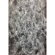 【玲廊滿藝】陳怡君-旁觀者清-373x50cm