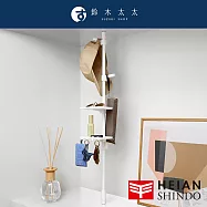 【平安伸銅】[直撐款] tatecco 免鑽牆萬能伸縮桿 TCR-1WH (max 70cm / 3kg) | 鈴木太太公司貨