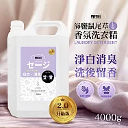 野田社-海鹽鼠尾草香氛洗衣精4000ml*4瓶