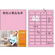 龍德 雷射、噴墨、影印三用電腦標籤 24x46mm 1000張/箱 (LD-8115-5色可選) LD-8115-R-B