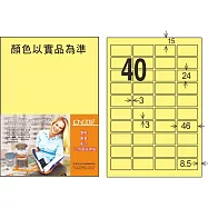 龍德 雷射、噴墨、影印三用電腦標籤 24x46mm 1000張/箱 (LD-8115-5色可選) LD-8115-Y-B