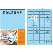 龍德 雷射、噴墨、影印三用電腦標籤 24x46mm 1000張/箱 (LD-8115-5色可選) LD-8115-B-B