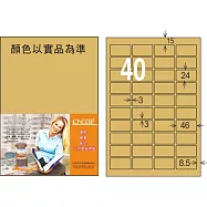 龍德 雷射、噴墨、影印三用電腦標籤 24x46mm 1000張/箱 (LD-8115-5色可選) LD-8115-C-B