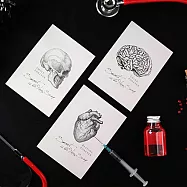 【賽先生科學工廠】科學明信片-科學明信片-器官(共3張/組)