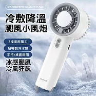 黑科技半導體製冷風扇 3檔冷敷手持風扇(USB充電) 冰霜白