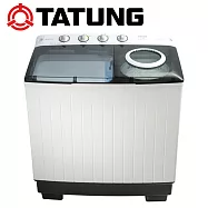【TATUNG大同】10kg雙槽洗衣機 TAW-100ML