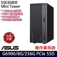 ASUS 華碩 H-S503MER-0G69000010 桌上型電腦 (Celeron G6900/8G/256G/無作業系統/3年保)