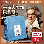 CoFeel 凱飛鮮烘豆哥斯大黎加貝多芬酵素水洗咖啡豆半磅-淺中烘焙(227g/袋)