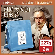 CoFeel 凱飛鮮烘豆哥斯大黎加貝多芬酵素水洗咖啡豆一磅-淺中烘焙(227gx2袋)