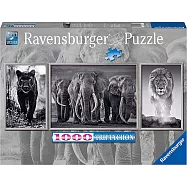 德國Ravensburger維寶拼圖 黑白動物 三聯畫(1000P)
