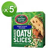【紐西蘭Mother Earth】烘培燕麥棒(薄鹽焦糖巧克力) 240g 5入組