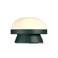 Rosendahl Soft Spot Dots 柔煦 太陽能充電 LED 桌燈 (中、森林綠)