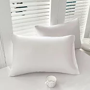 【AGAPE亞加.貝】台灣製《經典素色》七色可選 舒柔棉 枕套一對2入組 雪藏白蘭地