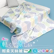 《英柏絲》100%純天絲涼被 涼感 輕柔好眠被 柔滑 親膚 夏涼被 150X195cm(多色任選) 小島