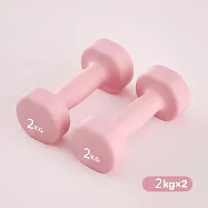 PinUpin 買一送一馬卡龍鑄鐵實心防滑女性重訓小啞鈴 2公斤 粉紅
