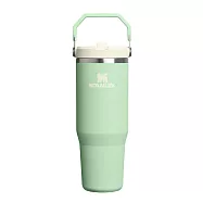 STANLEY 經典系列 IceFlow 手提吸管杯2.0 0.88L / 開心果綠