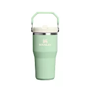 STANLEY 經典系列 IceFlow 手提吸管杯2.0 0.59L / 開心果綠